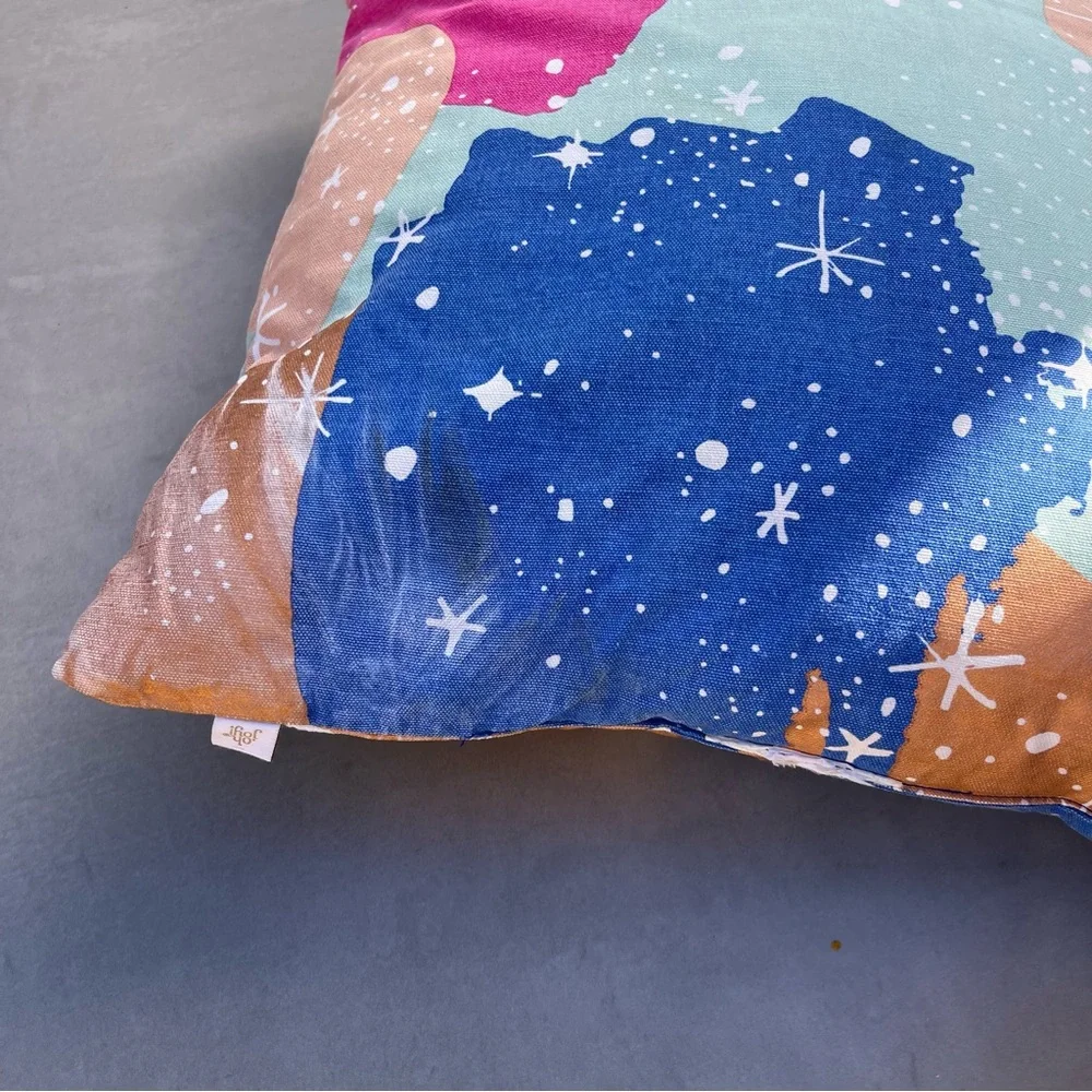 Throw Pillows Set of Two